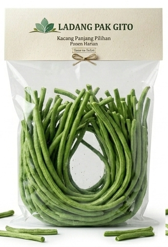 Kacang Panjang